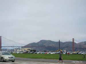 Today, the fog lifted and it was a full 8 hours of bright sunlight.