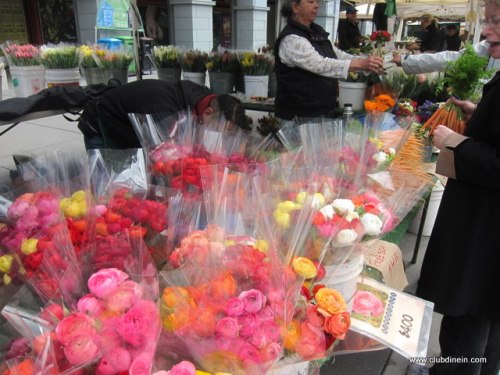 ranunculus