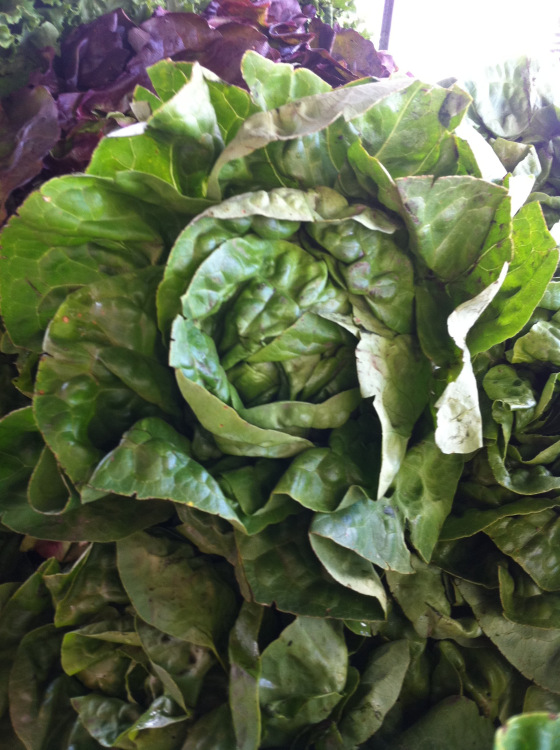 20110523-013012.jpg