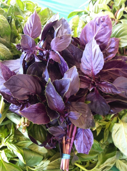 20110523-013309.jpg