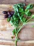 20130321-112427.jpg