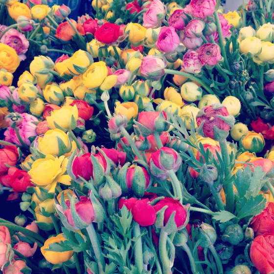 20130324-172753.jpg