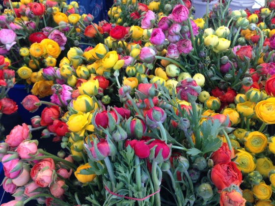 20130324-173430.jpg