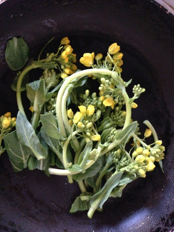 20130407-101642.jpg