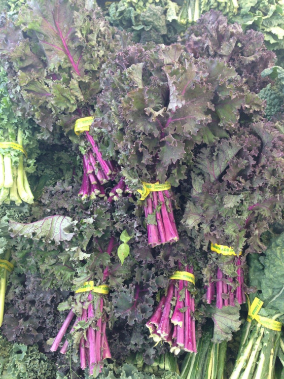 20130407-102300.jpg