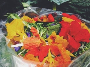 20130609-161732.jpg