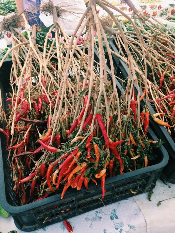 chili