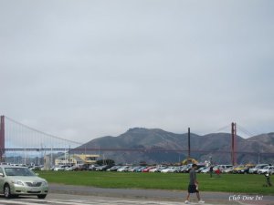 Today, the fog lifted and it was a full 8 hours of bright sunlight.