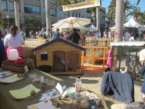 eat real festival chicken coop