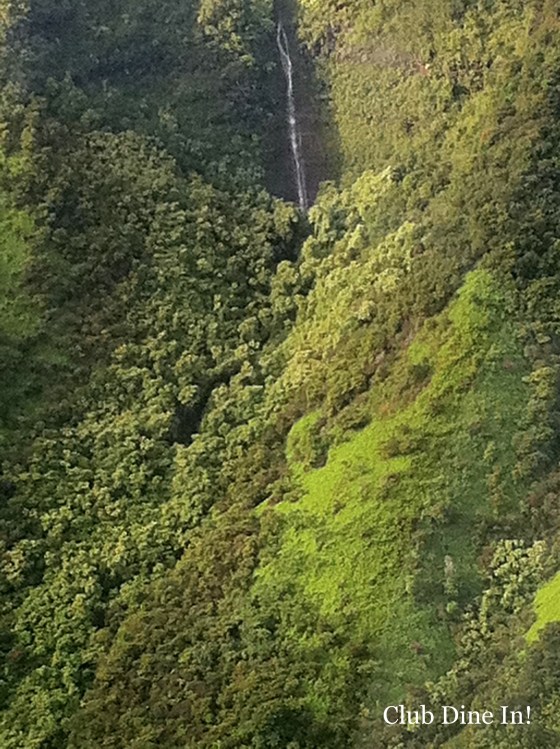 falls kauai