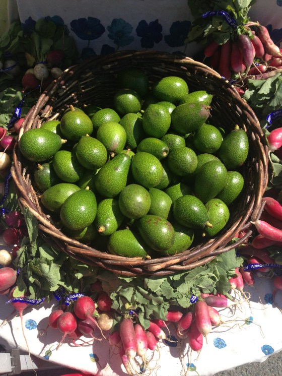 Photo Mar 17, 12 42 19 PM