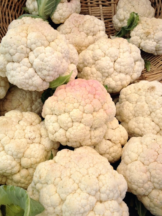 Photo Apr 14, 12 04 37 PM