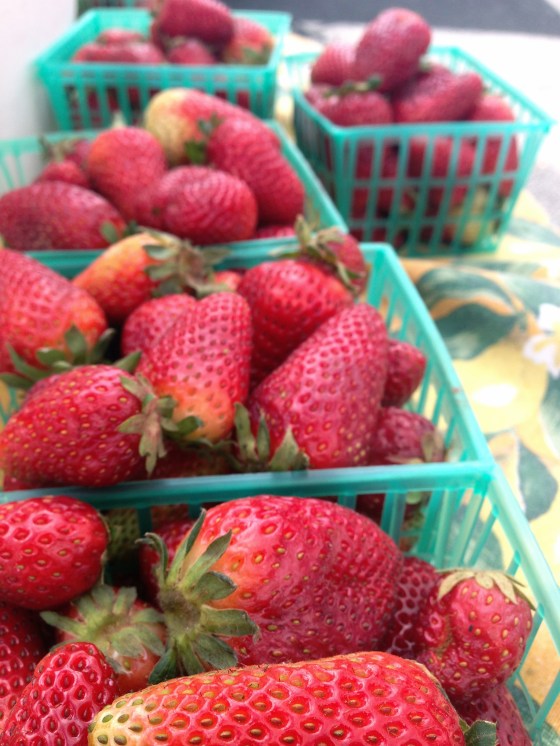 Photo Mar 31, 11 12 12 AM