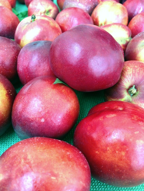 Photo May 05, 11 54 31 AM