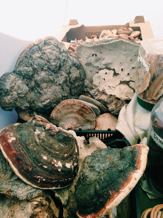 Photo Jul 07, 12 38 43 PM